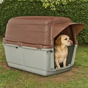 Niche de Camping – Image 2