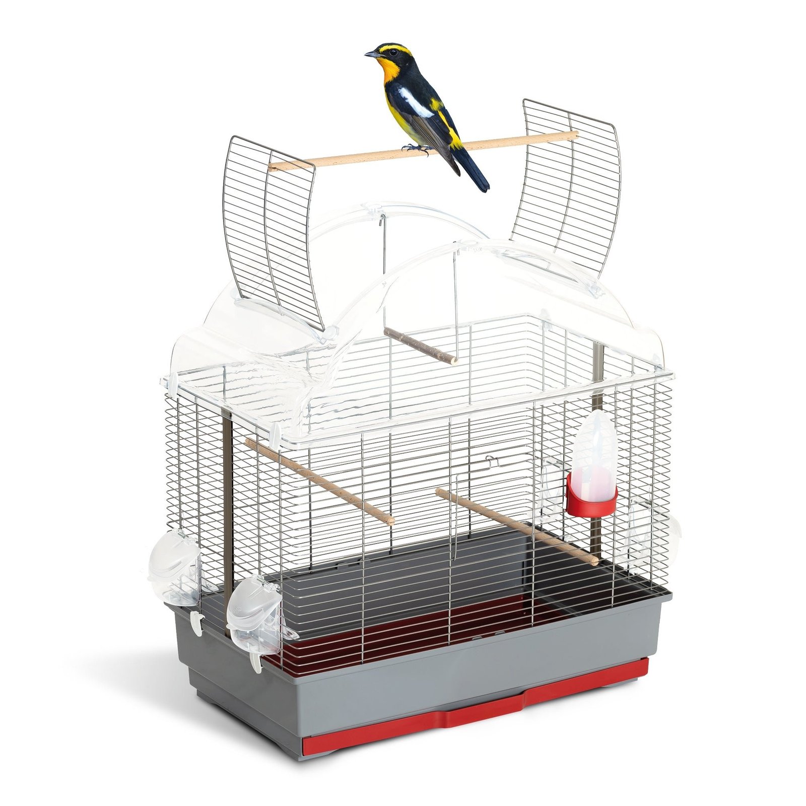 2026/08/1000393856.jpg cage à oiseaux FOP Olga – Image 1