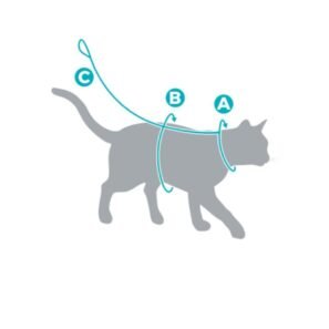 HARNAIS de promenade pour chat – Rose - LeoPet – Image 2