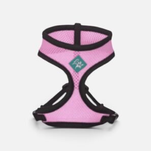 HARNAIS de promenade pour chat – Rose - LeoPet