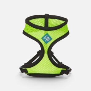HARNAIS de promenade pour chat – Vert - LeoPet