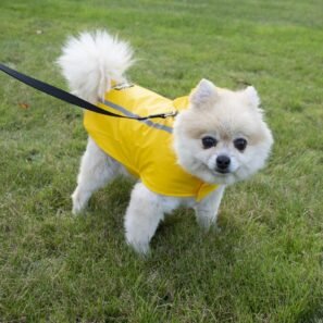 Imperméable pour Chien réfléchissant
duvoplus – Image 2